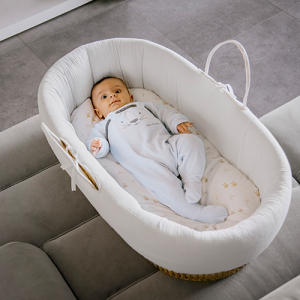 Moisés Cuco de bebé