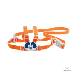 Arnes de Primeros Pasos Chicco