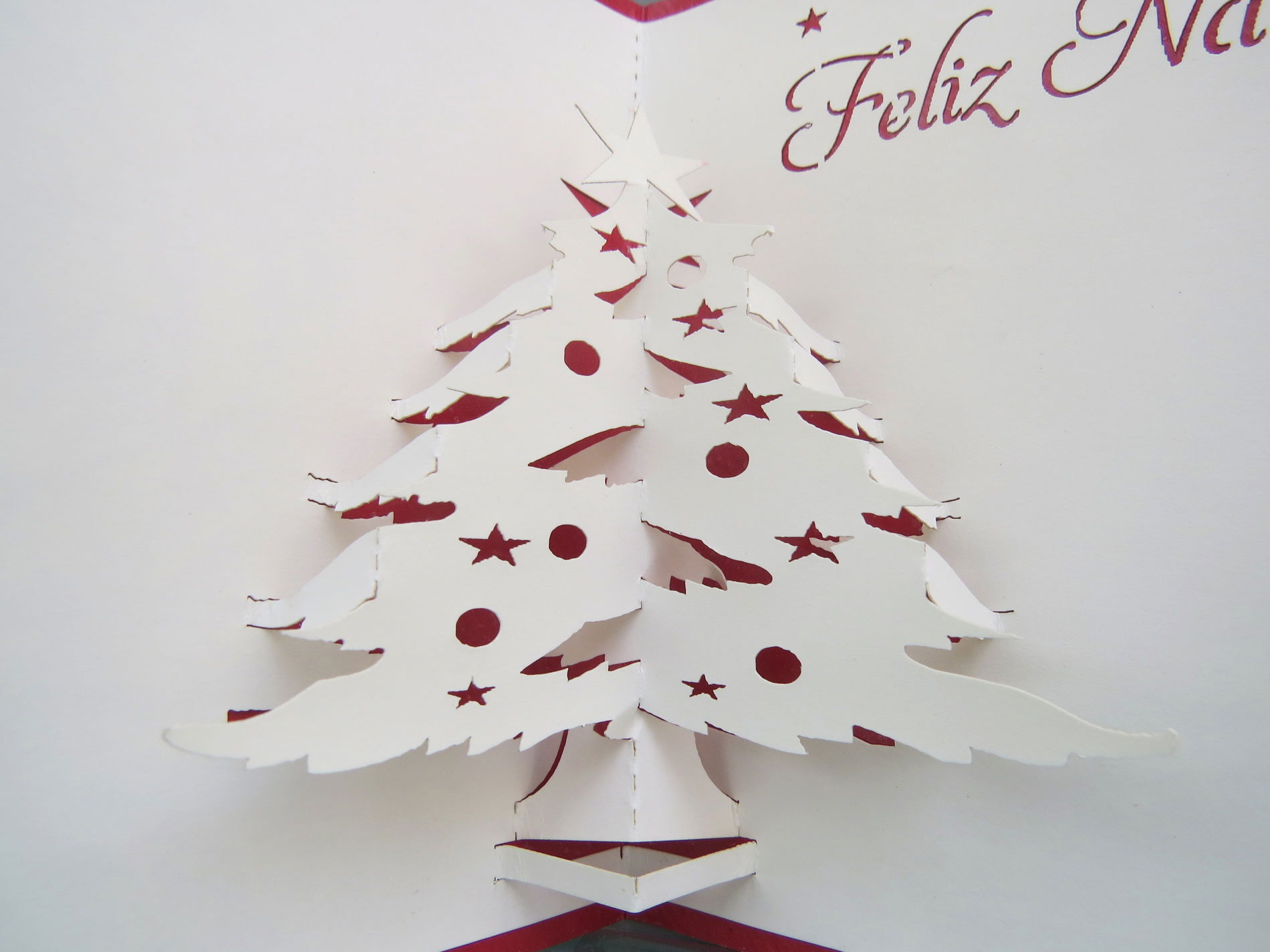 Copito de nieve (opción idiomas) - Imagen 2