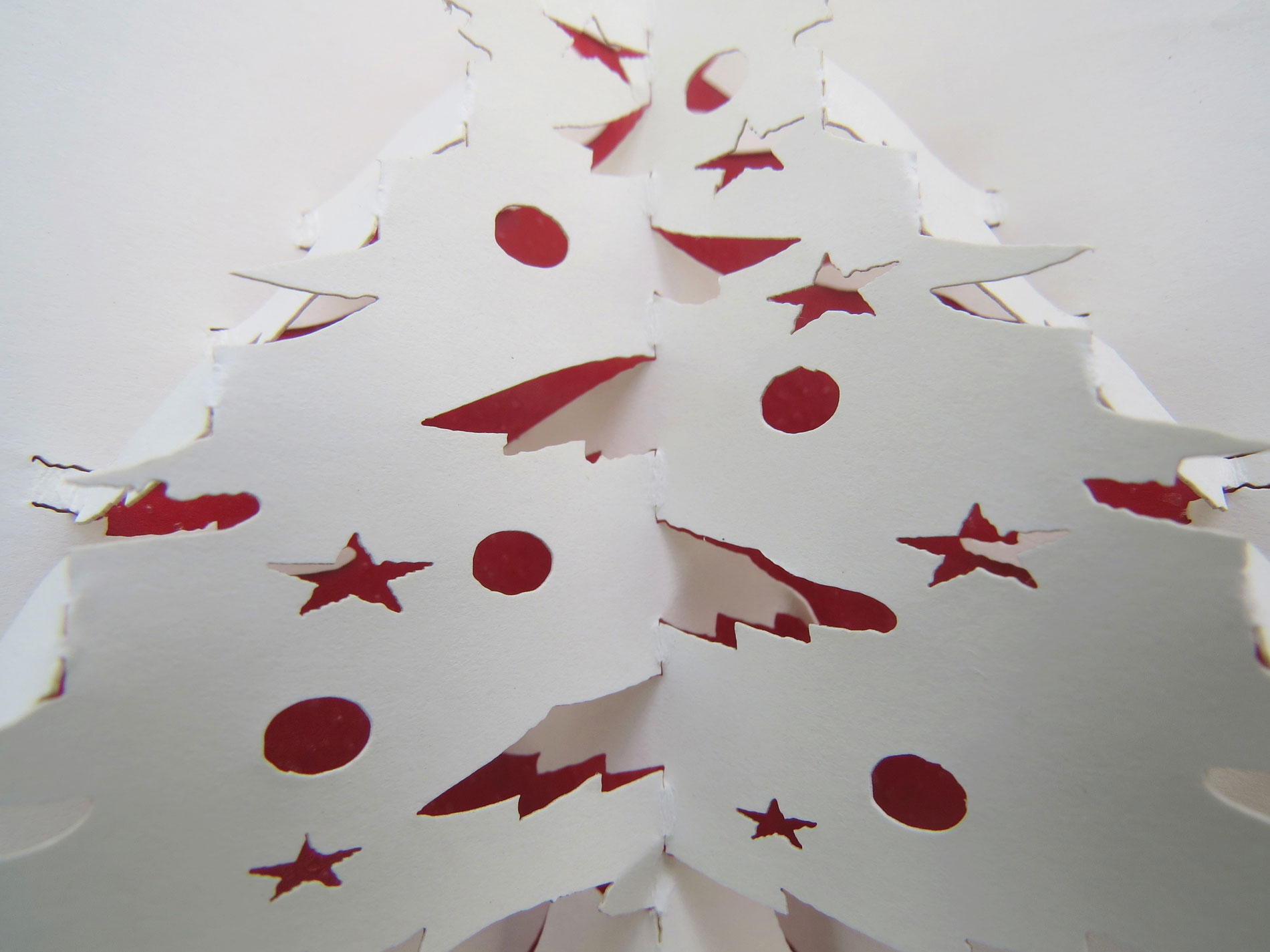 Copito de nieve (opción idiomas) - Imagen 3