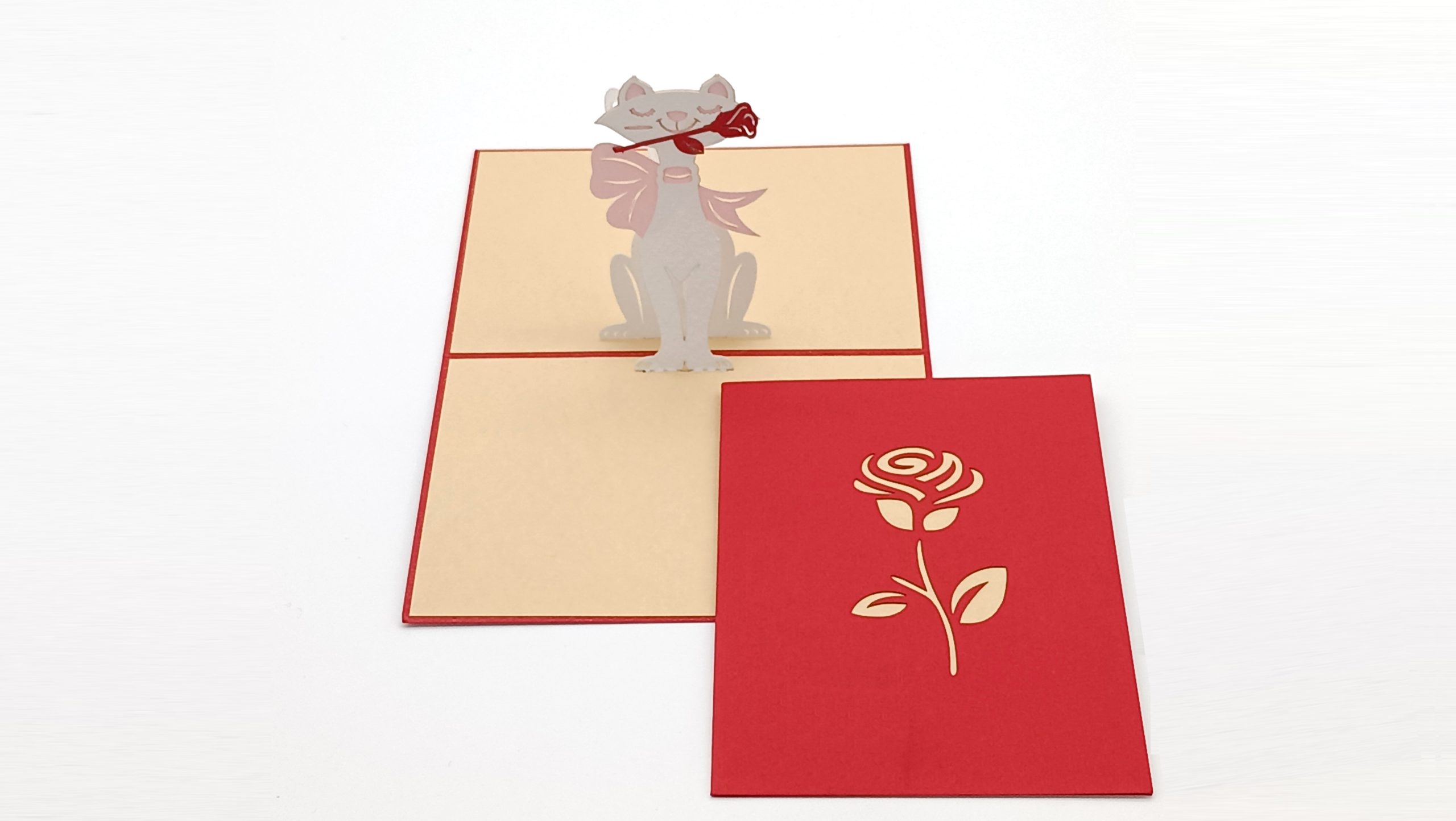 White Cat - Imagen 3