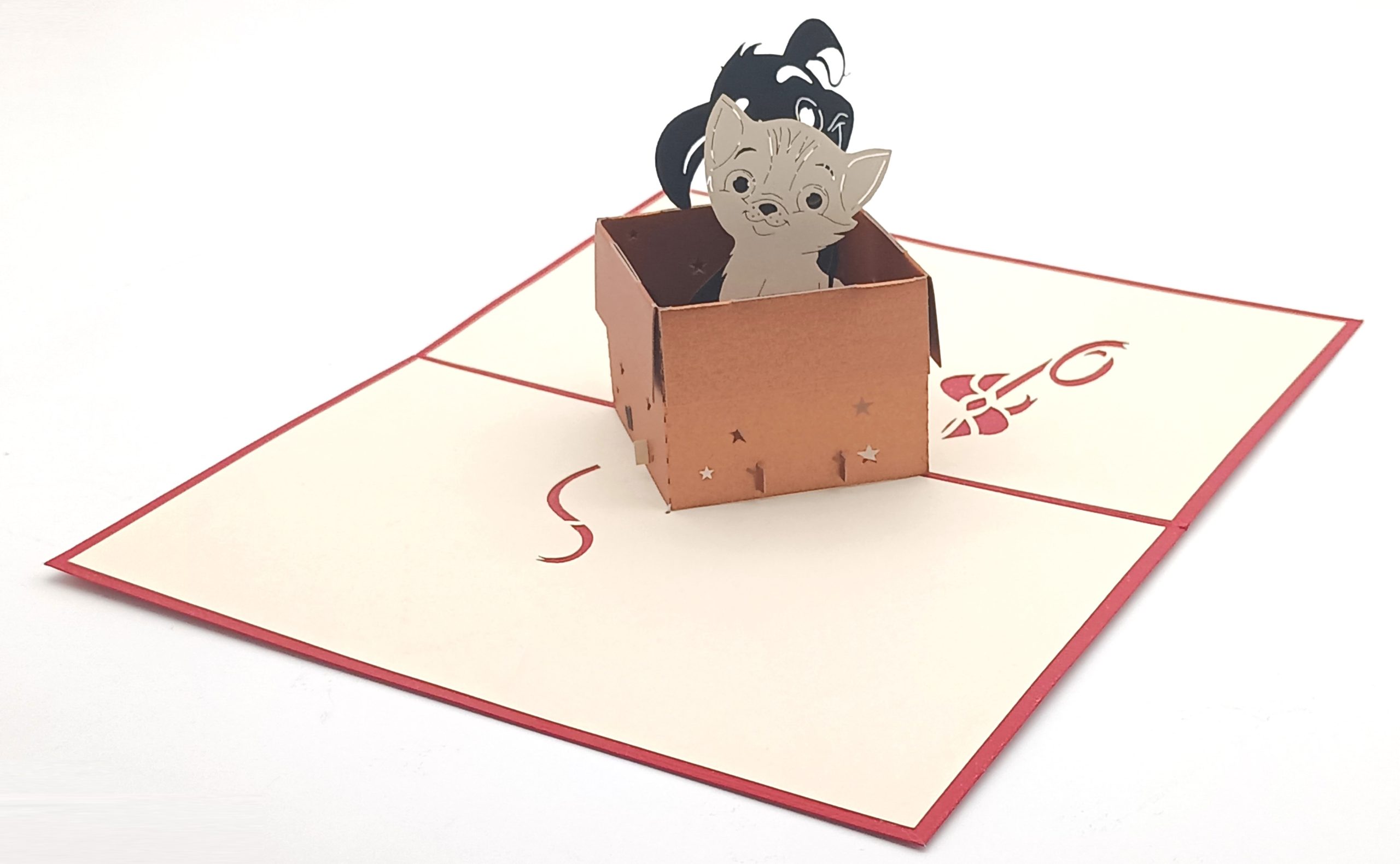 El Gatito y el Cachorro